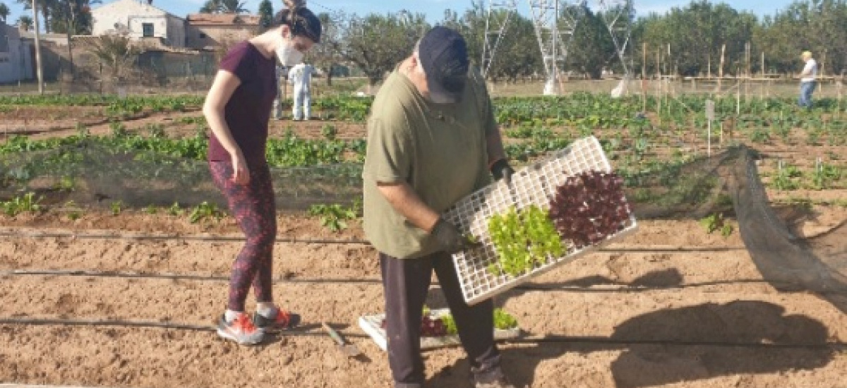 Vuelven a los huertos de la Finca Tom&aacute;s Ferro m&aacute;s de 200 personas con enfermedades neurodegenerativas